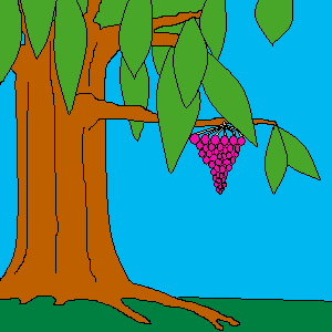 Drunkenberry Tree